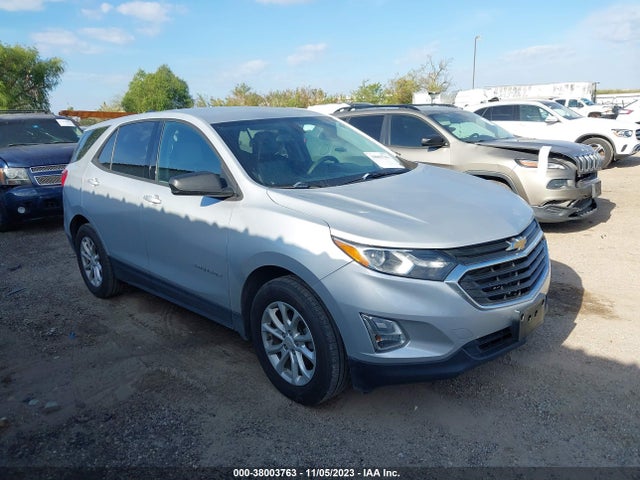 Chevrolet EQUINOX LS 2019 2GNAXHEV9K6211573 Image 1