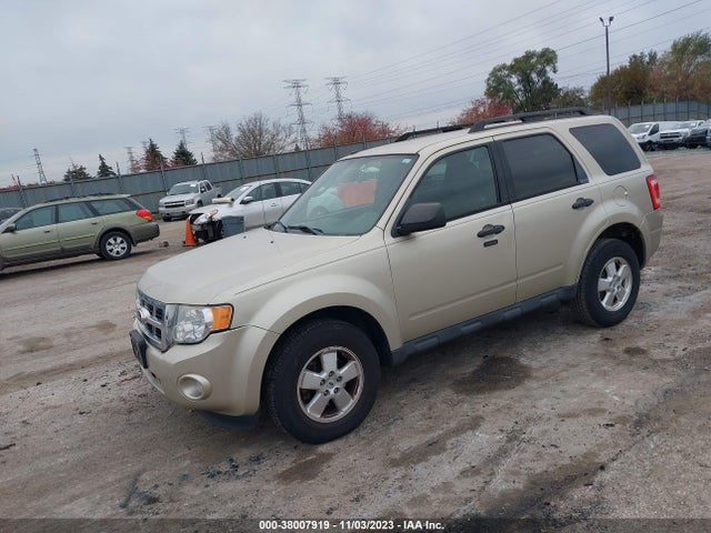 2011 FORD ESCAPE XLT VIN: 1FMCU0DG5BKA92136