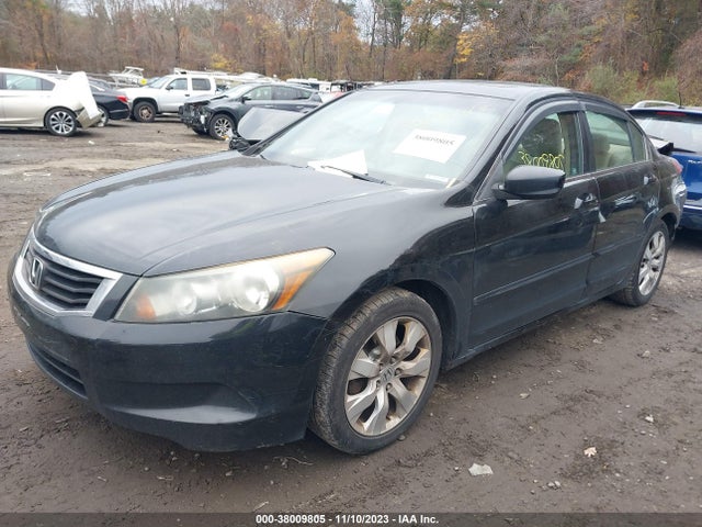 2010 HONDA ACCORD SDN EX-L VIN: 1HGCP2F83AA197387