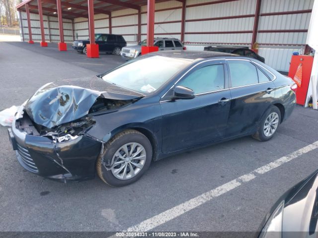 4T1BF1FK3GU239241 Toyota CAMRY LE
