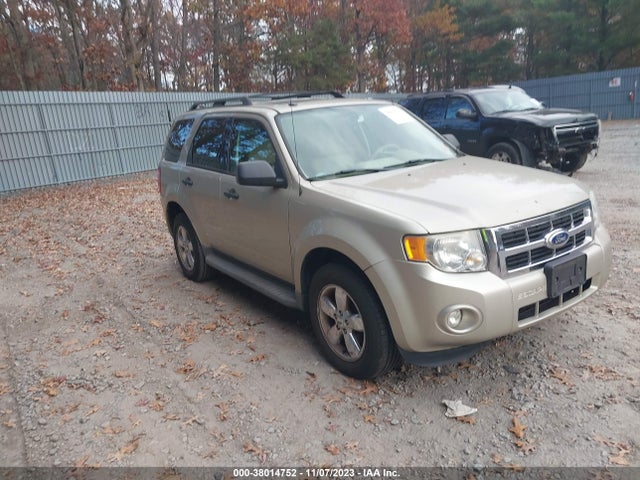 2011 FORD ESCAPE XLT VIN: 1FMCU9DG2BKA18922