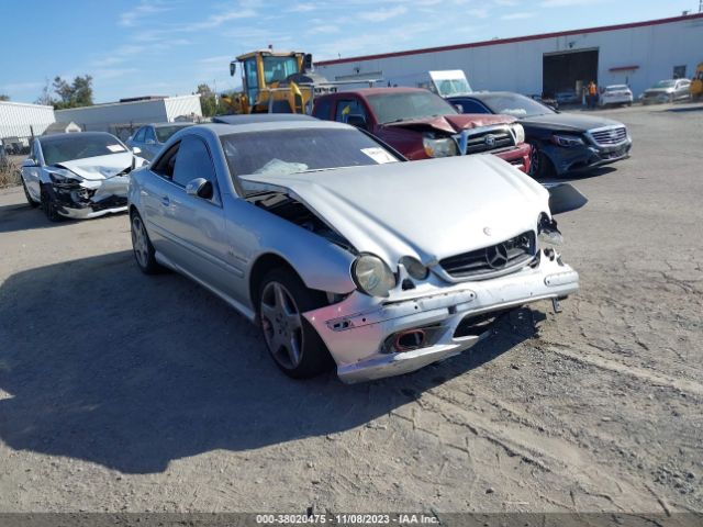 2003 MERCEDES-BENZ CL-CLASS WDBPJ74J23A031304