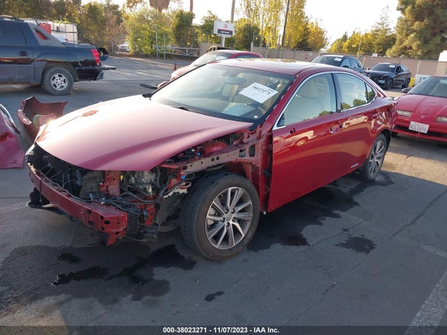 JTHBW1GG1G2109614 Lexus Es 300h Hybrid