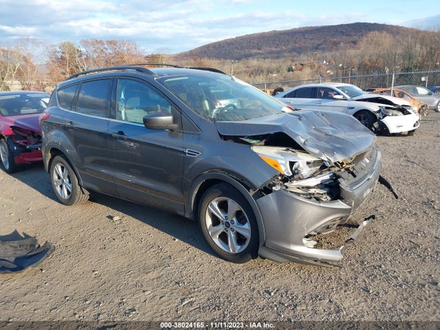 2013 FORD ESCAPE SE VIN: 1FMCU9G99DUB49771