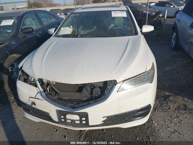 19UUB1F30FA005559 Acura TLX