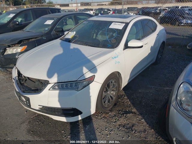 19UUB1F30FA005559 Acura TLX
