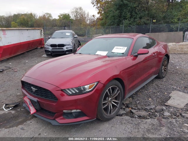 Ford Mustang Ecoboost 2017 1FA6P8TH5H5282274 Image 2