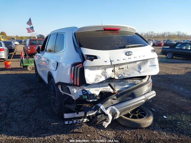 2020 KIA TELLURIDE SX VIN: 5XYP5DHC0LG022374