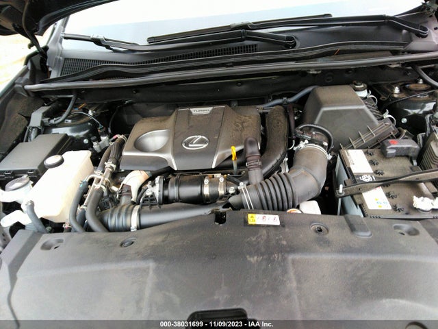 JTJDARDZ3M2261089 Lexus NX 300