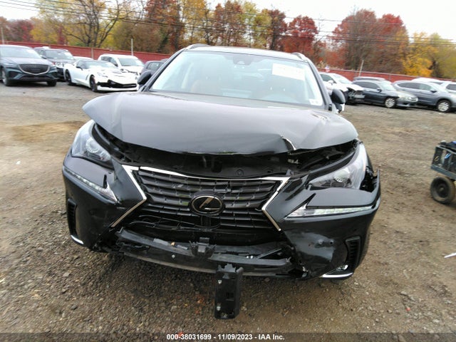 JTJDARDZ3M2261089 Lexus NX 300