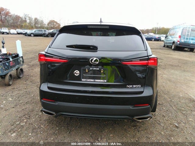 JTJDARDZ3M2261089 Lexus NX 300