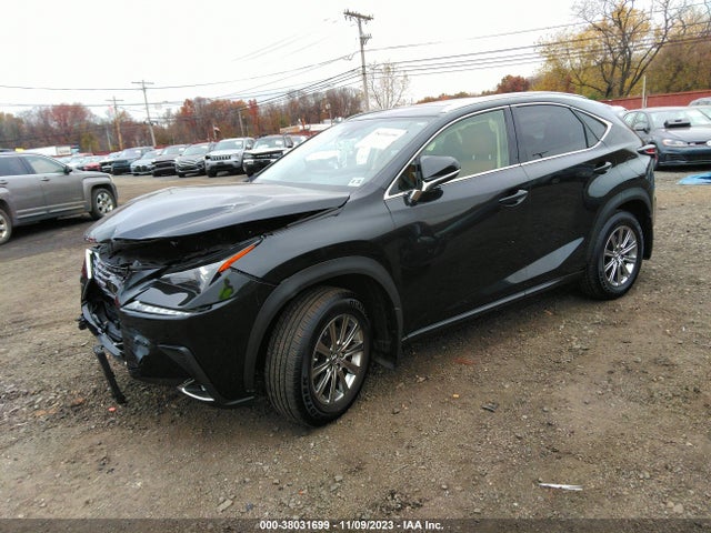 JTJDARDZ3M2261089 Lexus NX 300