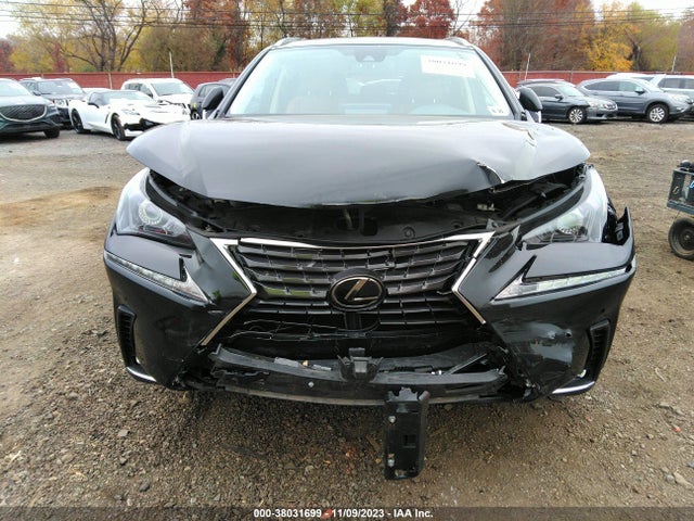 JTJDARDZ3M2261089 Lexus NX 300