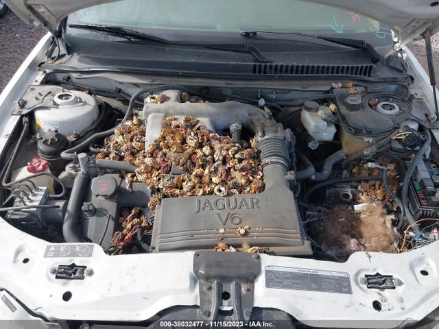 2007 JAGUAR X-TYPE SAJWA51A17WJ22032 Photo 9