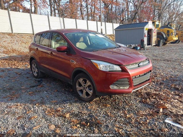 2014 FORD ESCAPE SE VIN: 1FMCU9G97EUD78578