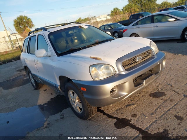 2004 HYUNDAI SANTA FE VIN: KM8SB12B54U820169