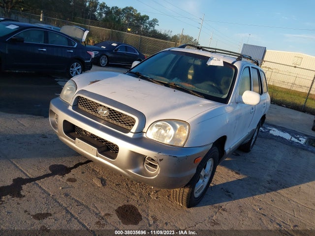 2004 HYUNDAI SANTA FE VIN: KM8SB12B54U820169