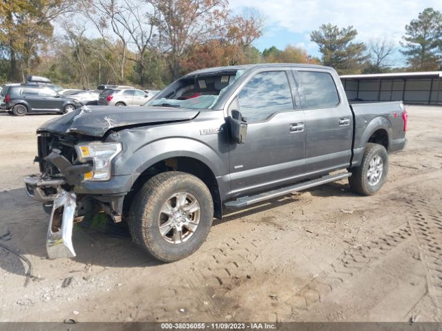 1FTEW1EG7GFA82154 Ford F-150 Xlt