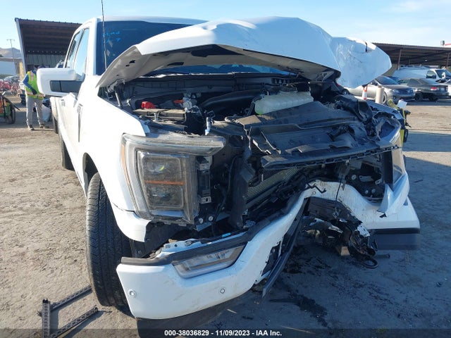 2023 FORD F-150 PLATINUM VIN: 1FTFW1ED8PFA15430