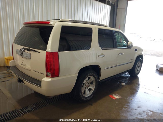 2008 CADILLAC ESCALADE STANDARD VIN: 1GYFK438X8R261036