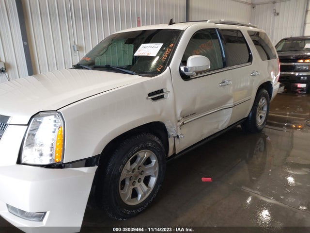 2008 CADILLAC ESCALADE STANDARD VIN: 1GYFK438X8R261036