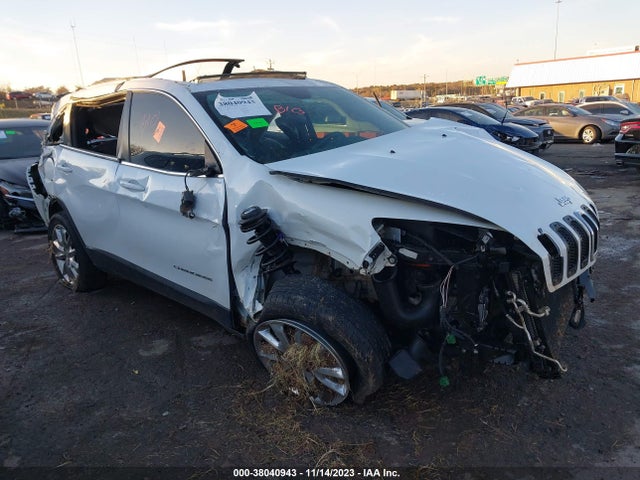 Jeep Cherokee Limited 2014 1C4PJLDS3EW143120 Image 1