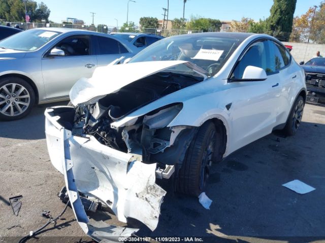 2022 TESLA MODEL Y 7SAYGDEF1NF397734 Photo 1