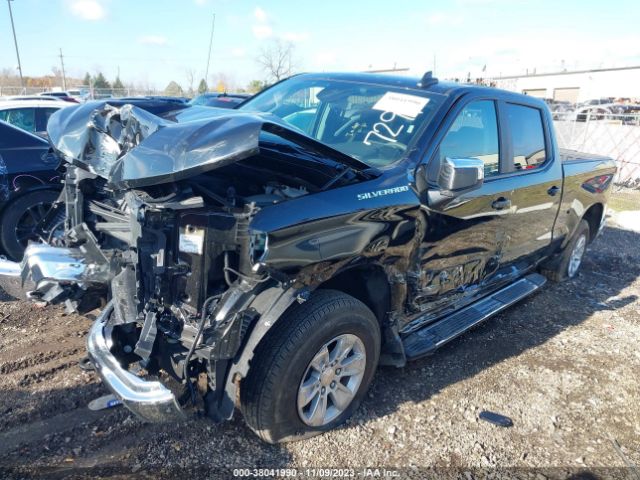 1GCUDDED0PZ317291 Chevrolet Silverado 1500 4wd  Standard Bed Lt