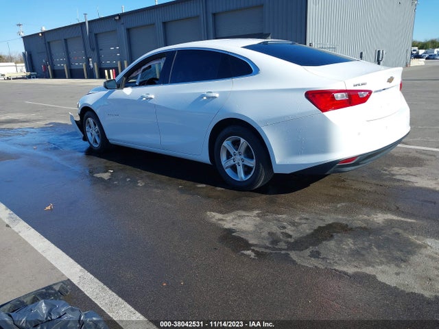 Chevrolet Malibu 1fl 2019 1G1ZC5ST1KF208514 Image 3