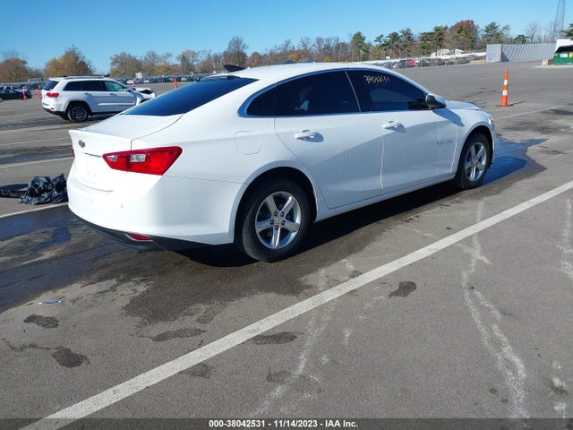 Chevrolet Malibu 1fl 2019 1G1ZC5ST1KF208514 Image 4