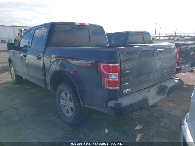 2020 FORD F-150 XLT VIN: 1FTEW1E58LFB79923