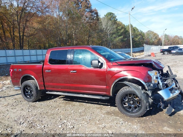 Ford F-150 Xlt 2016 1FTEW1EF4GFD36099 Image 13