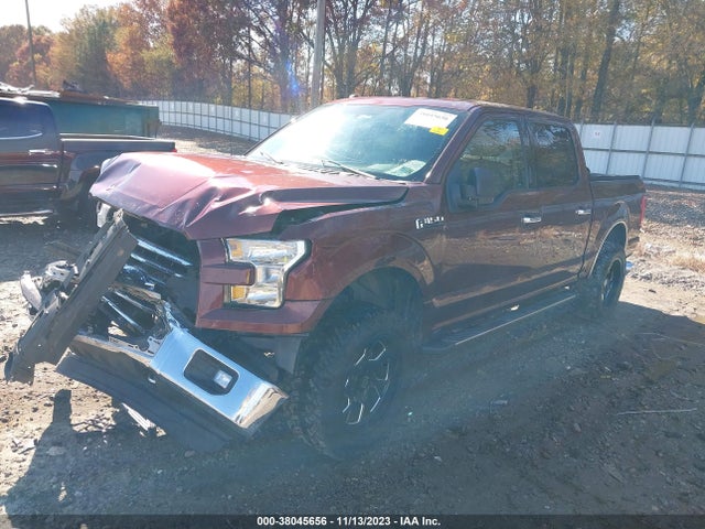 Ford F-150 Xlt 2016 1FTEW1EF4GFD36099 Image 2
