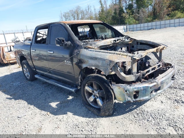 RAM 1500 Lone Star 2014 1C6RR7LT9ES263148 главное изображение