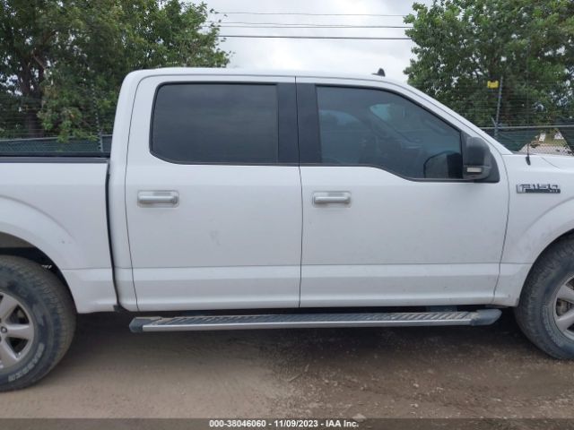 1FTEW1E55KKC53823 Ford F-150 Xlt