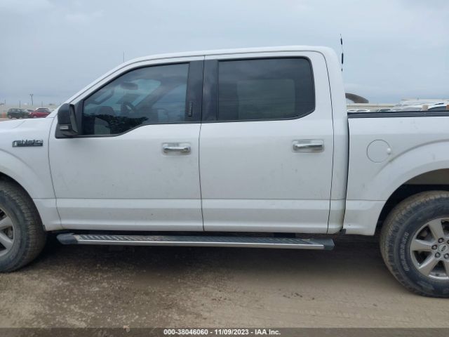 1FTEW1E55KKC53823 Ford F-150 Xlt