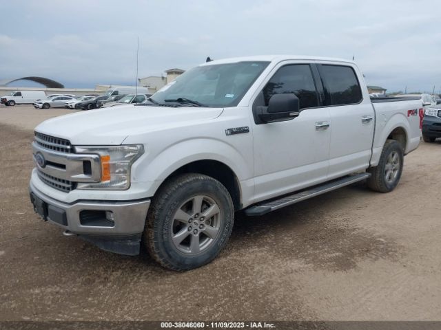 1FTEW1E55KKC53823 Ford F-150 Xlt