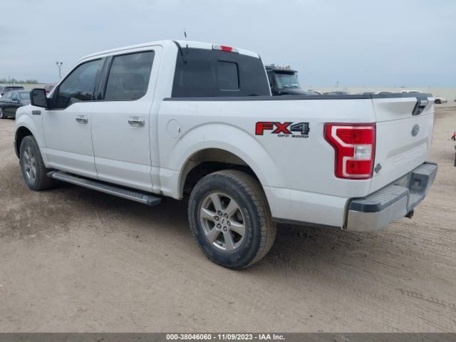 1FTEW1E55KKC53823 Ford F-150 Xlt