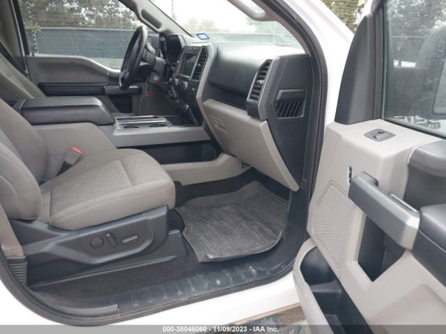 1FTEW1E55KKC53823 Ford F-150 Xlt