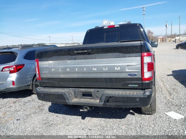 2023 FORD F-150 PLATINUM VIN: 1FTFW1E83PFB18922
