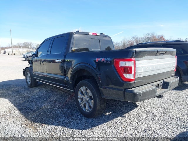 2023 FORD F-150 PLATINUM VIN: 1FTFW1E83PFB18922