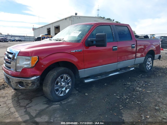 2009 FORD F-150 XLT/LARIAT/XL VIN: 1FTPW12V79FA93184