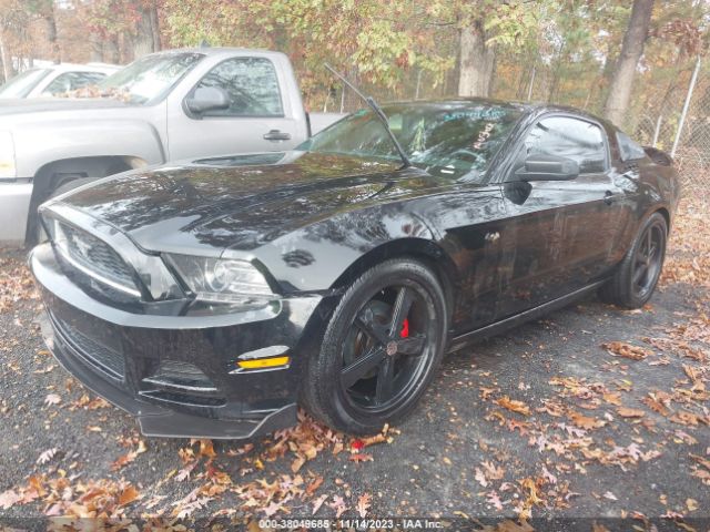1ZVBP8AM9E5237694 Ford Mustang V6