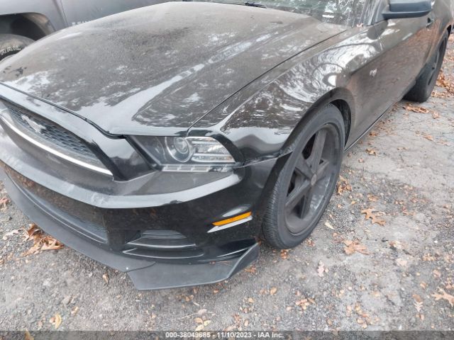 1ZVBP8AM9E5237694 Ford Mustang V6