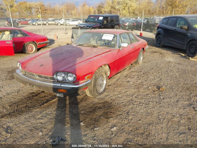 1988 JAGUAR XJS SAJNA5847JC143732 Photo 1