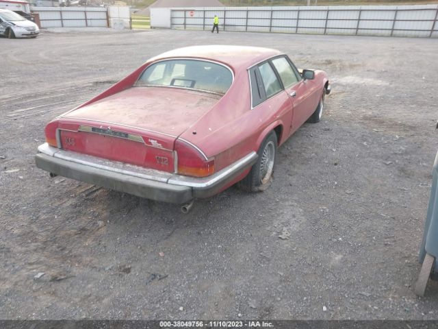 1988 JAGUAR XJS SAJNA5847JC143732 Photo 3