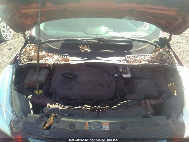 Ford ESCAPE SE 2015 1FMCU0GX6FUA21923 Image 10