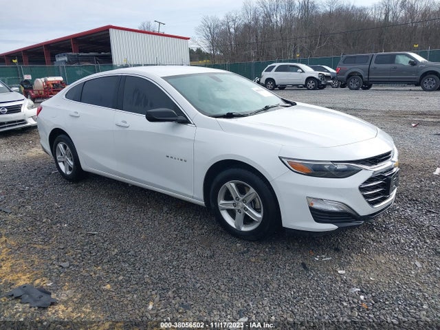 2019 1G1ZB5ST0KF216462 main image