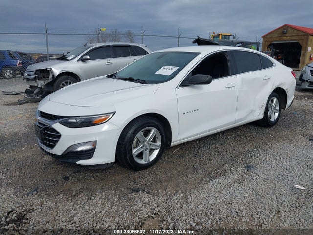 Chevrolet Malibu 1ls 2019 1G1ZB5ST0KF216462 Image 2