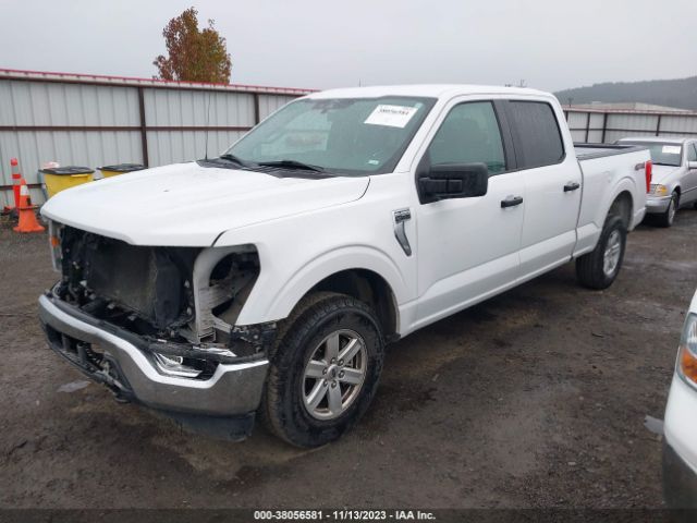 1FTFW1E52MKD75336 Ford F-150 Xlt
